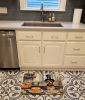 Border Terrier Fall Kitchen Pumpkins Memory Foam Kitchen Mat Machine Washable Anti-Fatigue Mat Cushion Comfort Bath Mat or Kitchen Rug